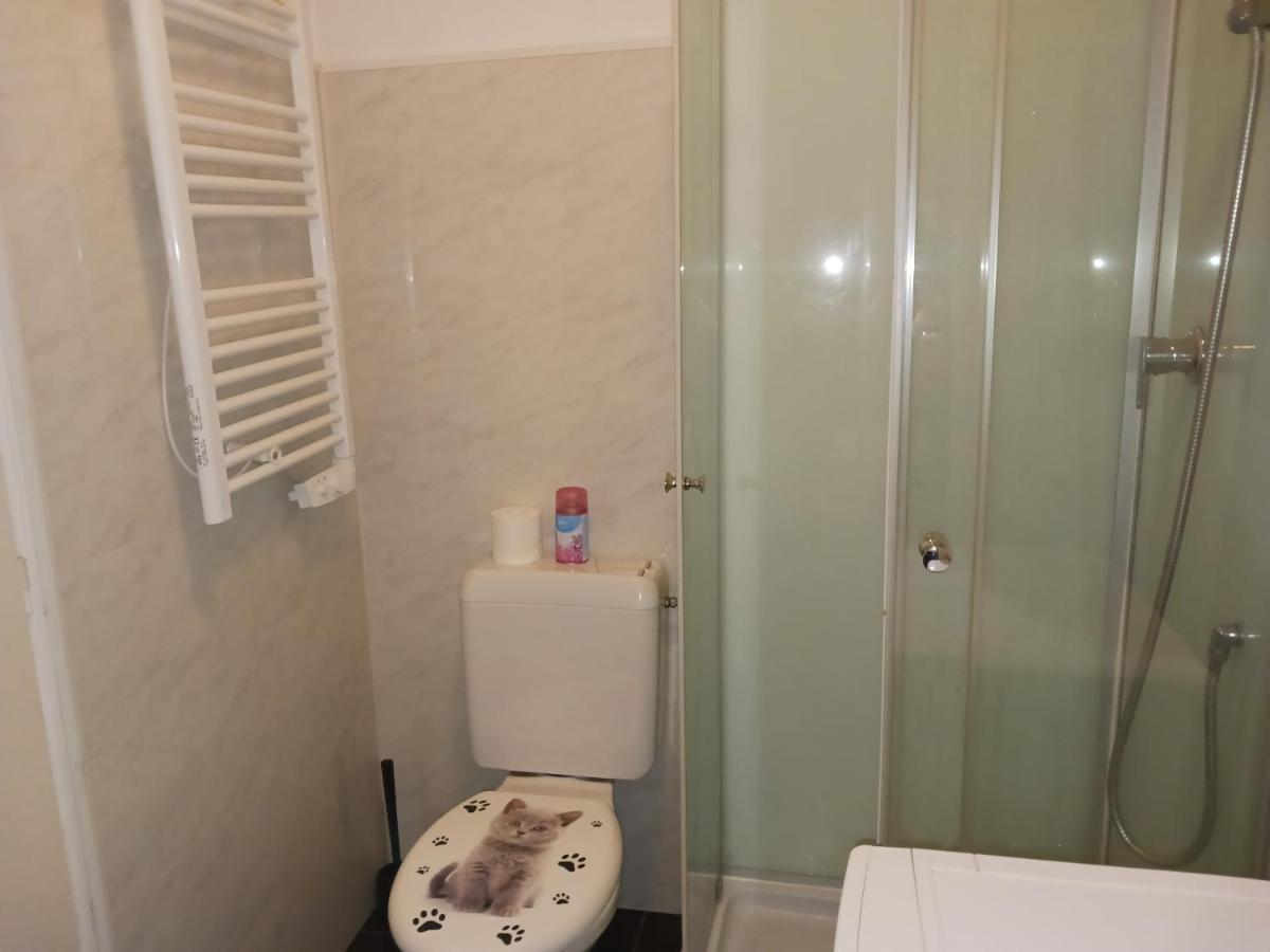 T2 50M2 Residence Les Acacias Vue Degagee Montagne Ax-les-Thermes Eksteriør billede